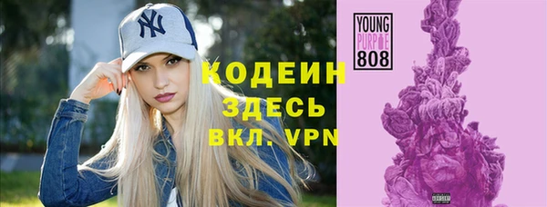 крисы Бородино