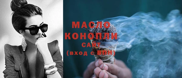крисы Бородино