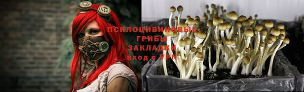 Альфа ПВП Бугульма