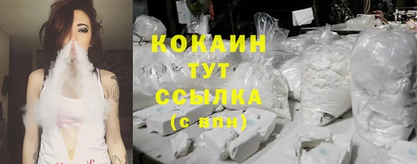 крисы Бородино