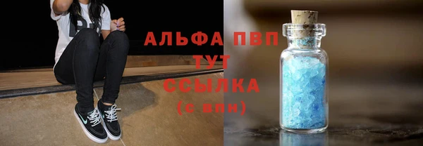 крисы Бородино