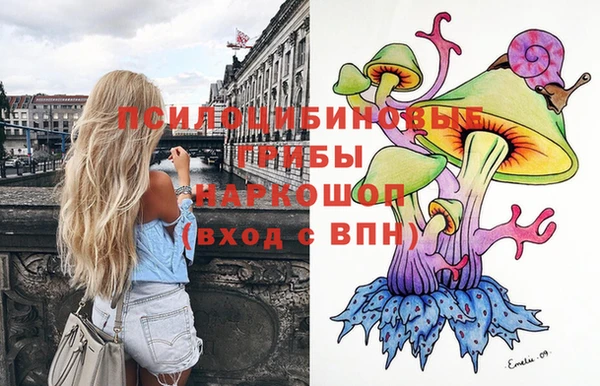 прущий лед Богданович
