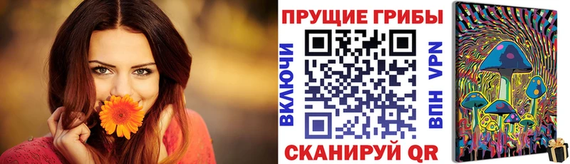 где найти наркотики  Междуреченск  Псилоцибиновые грибы ЛСД 